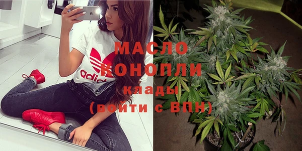 гашик Тобольск
