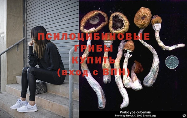 Альфа ПВП Тында