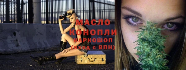 гашик Тобольск