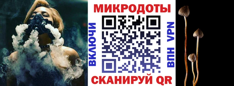 Купить закладки  Барнаул  Галлюциногенные грибы Psilocybine cubensis 